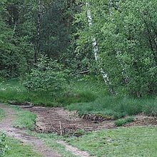 Maßnahmen am Torfstich 1: Ausbesserung des Torfdamms mit Sand.