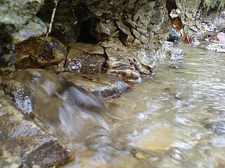 Die Baumberger Quellen treten auf unterschiedliche Art und Weise zutage: stürzend, überlaufend oder – wie an dieser Stelle – sprudelnd am Grund.