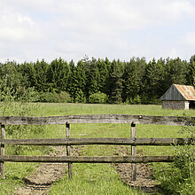 Weidehuette Heckbaum