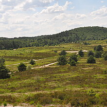 Ausblick auf die Borkenberge