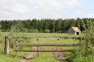 NSG Brink (Coesfeld): Landschaftsbild verschwunden. In der modernen Landwirtschaft spielen diese traditionellen Weideeinrichtungen keine große Rolle mehr. Neben ihrer kulturhistorischen Bedeutung sind sie für den Naturschutz weiterhin wertvoll. Die Weidehütten bieten zum Beispiel gute Nistmöglichkeiten für bedrohte Arten wie den Steinkauz.