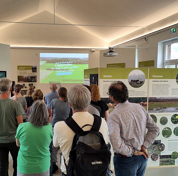 Ausstellung "Wo die wilden Pflanzen leb(t)ten" im Naturschutzzentrum, 2024.