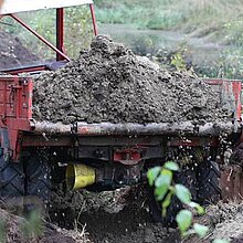 Maßnahmen am Torfstich 1: Einbau „Lehmschürze“ an der wasserabgewandten Seite.