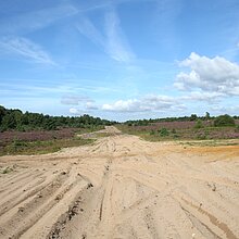 Sandwege in den Borkenbergen